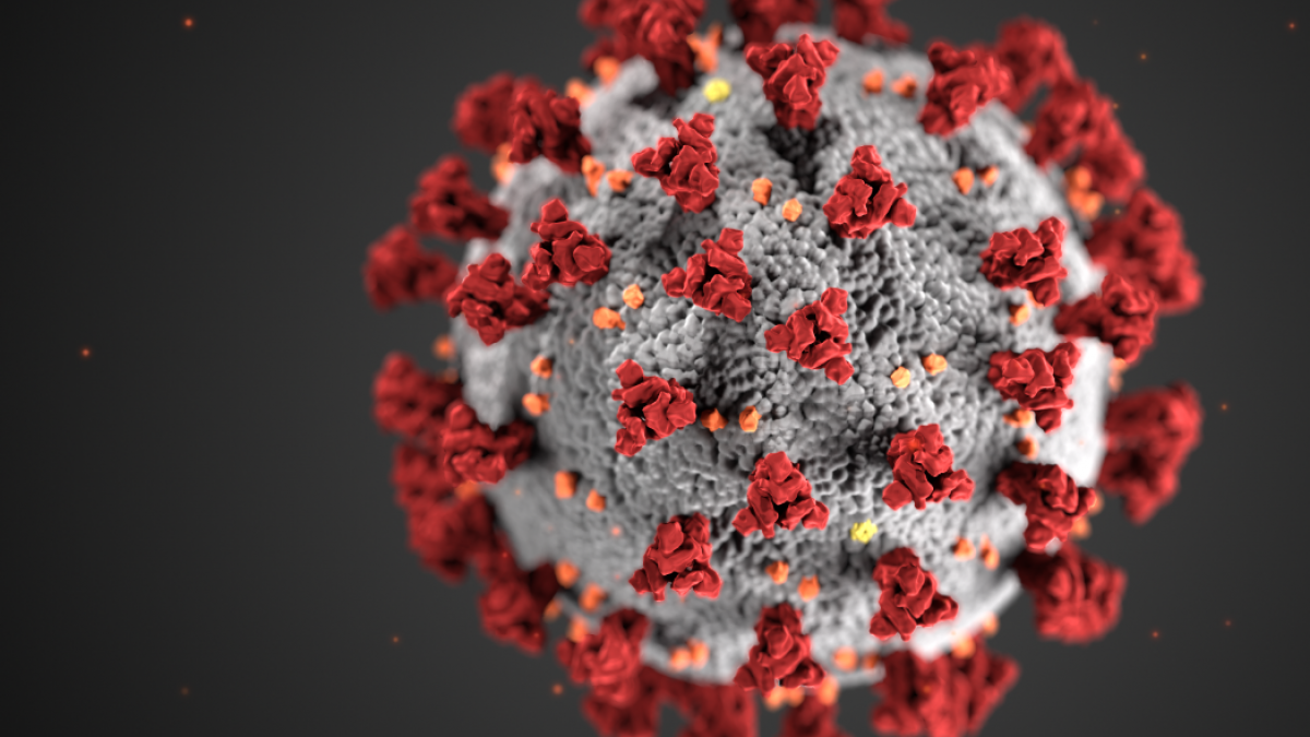 与新冠肺炎搏斗的那些日子