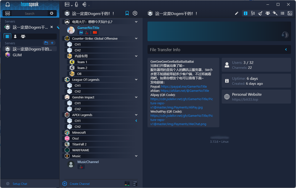 Teamspeak服务器搭建指南